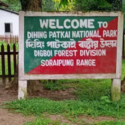 Dehing Patkai Wildlife Sanctuary - Tinsukia