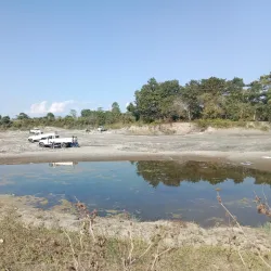 Dehing Patkai Wildlife Sanctuary - Tinsukia