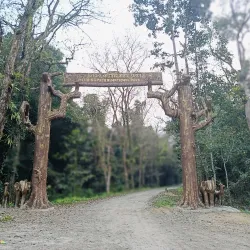 Dehing Patkai Wildlife Sanctuary - Tinsukia