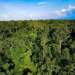 Dehing Patkai Wildlife Sanctuary - Tinsukia