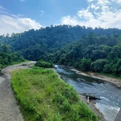 Dehing Patkai Wildlife Sanctuary - Tinsukia