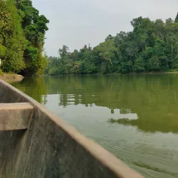 Dehing Patkai Wildlife Sanctuary - Tinsukia