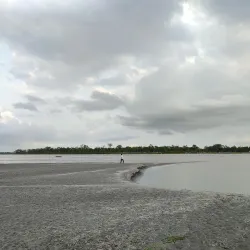 Dibru-Saikhowa National Park - Tinsukia