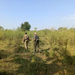 Dibru-Saikhowa National Park - Tinsukia