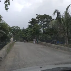 Namdang Stone Bridge - Tinsukia
