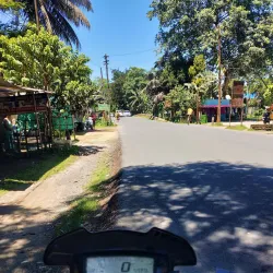 Namdang Stone Bridge - Tinsukia