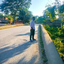 Namdang Stone Bridge - Tinsukia