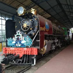 Tinsukia Town Park - Tinsukia