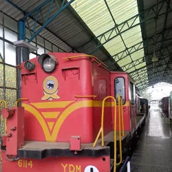 Tinsukia Town Park - Tinsukia