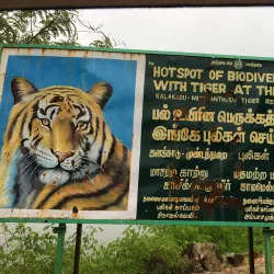Kalakkad Mundanthurai Tiger Reserve - Tirunelveli