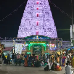 Sri Padmavathi Ammavari Temple - Tirupati