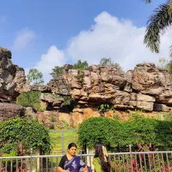 Sri Venkateswara Zoological Park - Tirupati