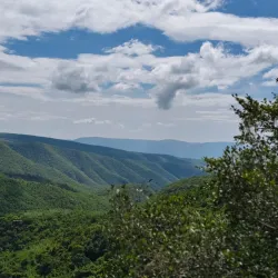 Sri Venkateswara Zoological Park - Tirupati