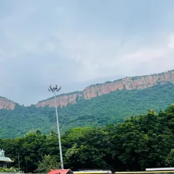 Sri Venkateswara Zoological Park - Tirupati