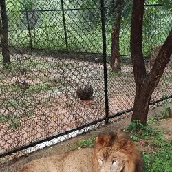 Sri Venkateswara Zoological Park - Tirupati