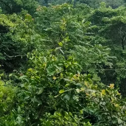 Talakona Waterfalls - Tirupati