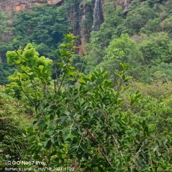 Talakona Waterfalls - Tirupati