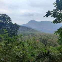 Siruvani Waterfalls and Dam - Tirupur (Tiruppur)