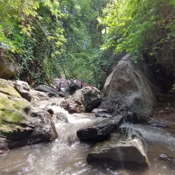 Siruvani Waterfalls and Dam - Tirupur (Tiruppur)