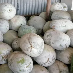 Tirupur Market - Tirupur (Tiruppur)