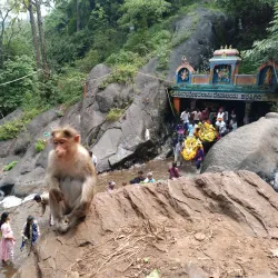 Kallathigiri Falls - Tumkur