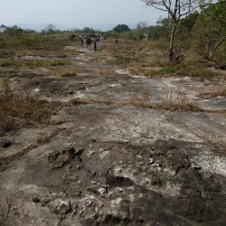 Balpakram National Park - Tura