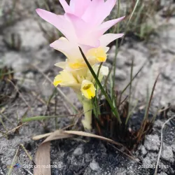 Balpakram National Park - Tura