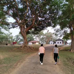 Chisobibra Village - Tura