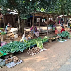 Chisobibra Village - Tura