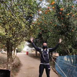 Nokrek National Park - Tura