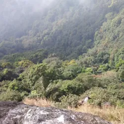 Nokrek National Park - Tura