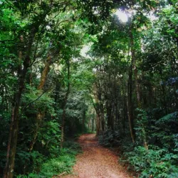 Nokrek National Park - Tura