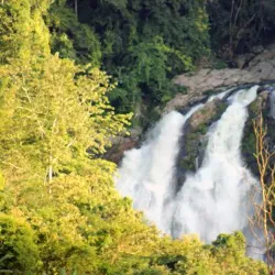 Rongbang Dare Waterfall - Tura