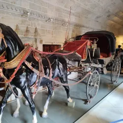 City Palace - Udaipur