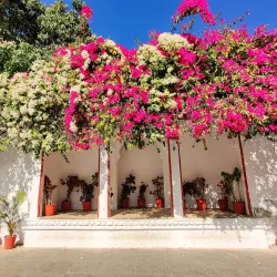 Saheliyon Ki Bari - Udaipur