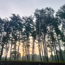 Daman and Diu (near Umargam) - Umargam