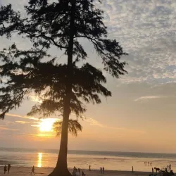 Umargam Fishing Harbor - Umargam