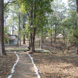 Vansda National Park (near Umargam) - Umargam