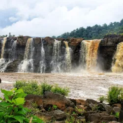 Vansda National Park (near Umargam) - Umargam