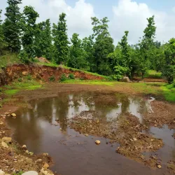 Vansda National Park (near Umargam) - Umargam