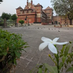 Baroda Museum and Picture Gallery - Vadodara