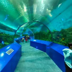 Science City, Ahmedabad (Nearby) - Vallabh Vidhyanagar