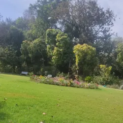 Vallabh Vidhyanagar Botanical Garden - Vallabh Vidhyanagar