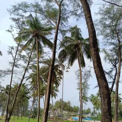 Daman and Diu Beaches - Vapi