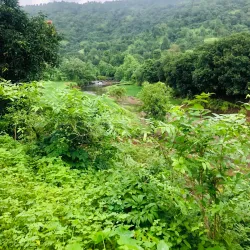Gandharpada Waterfall - Vapi