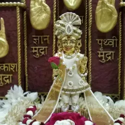 Shree Swaminarayan Mandir, Vapi - Vapi