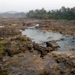 Vansda National Park - Vapi