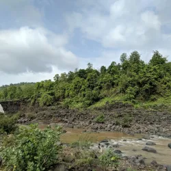 Vansda National Park - Vapi