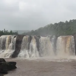 Vansda National Park - Vapi