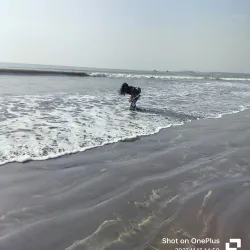 Arnala Beach - Vasai